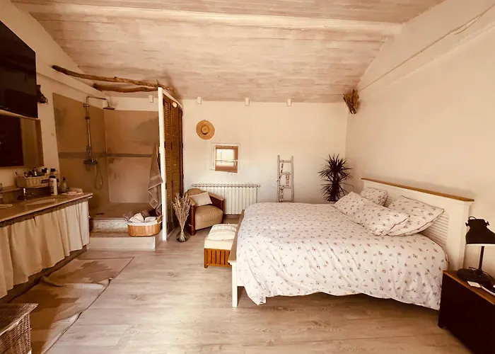 La Maison Du Bougainvillier 10 Personnes