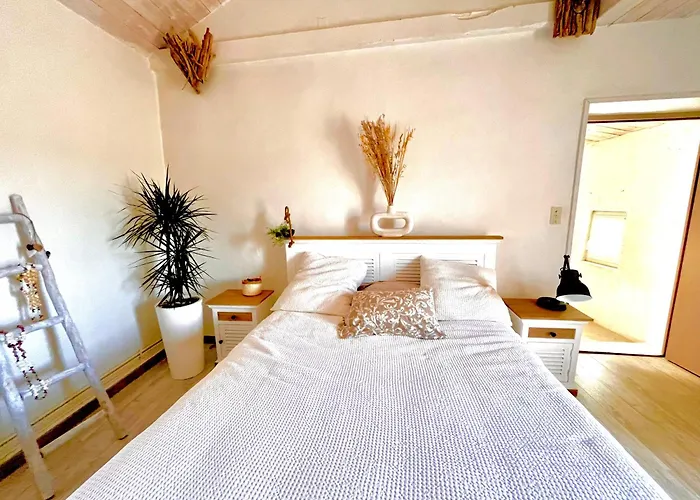 La Maison Du Bougainvillier 10 Personnes Βίλα Dions